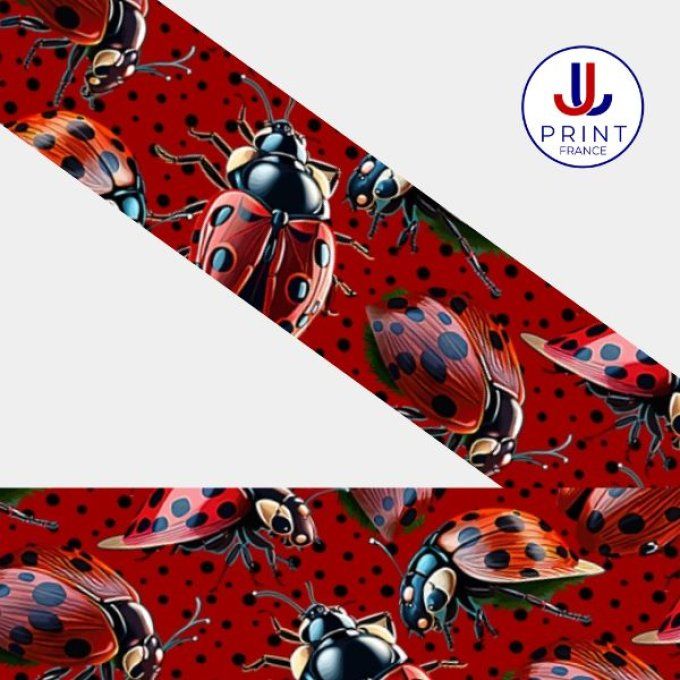 COCCINELLES